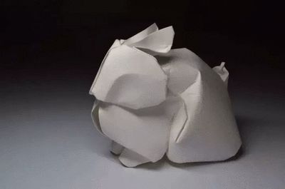湿法折纸术 让纸张在水中“活”起来